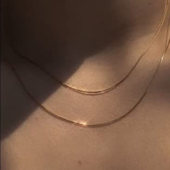 2pc Thin Snake Necklace Set - Picture 2 of 5